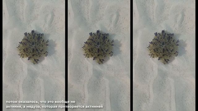Куба 2023 - безумно (и) красиво