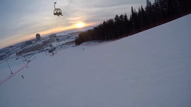 Хвойный урман в Ханты-Мансийске, январь 2016 г.