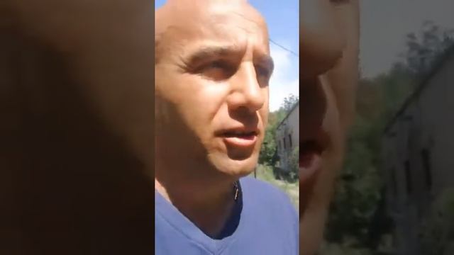 Отзывы о программе С9 Аллергия на амброзию