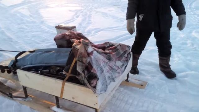 на рыбалку Снегоход Рысь