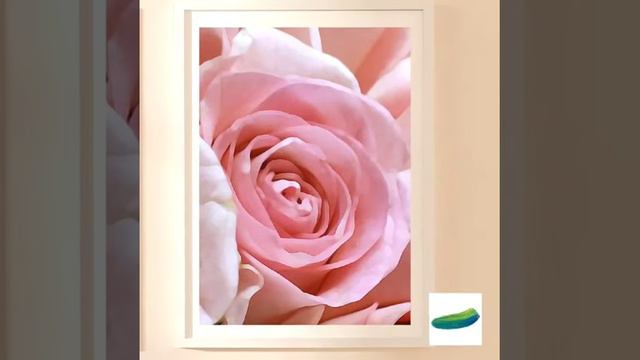 Пара постеров для интерьера «Розы айвори» и «Роза» из коллекции «Цвета в цветах». Декор для дома.