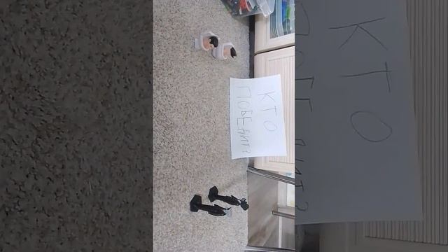 Кто победит камерамены или скибиди туалеты?