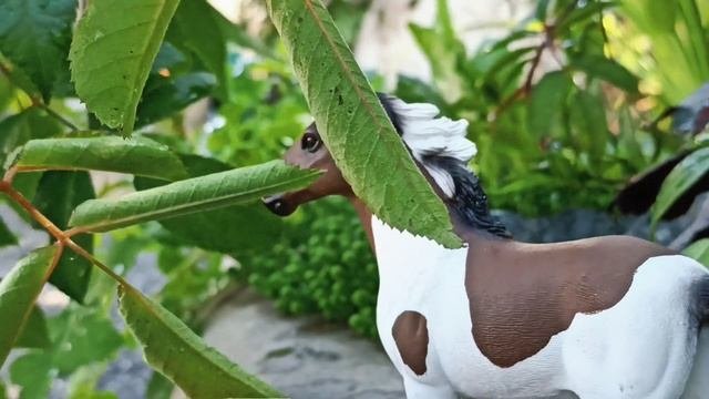 schleich сериал  Высокие цели ? серия