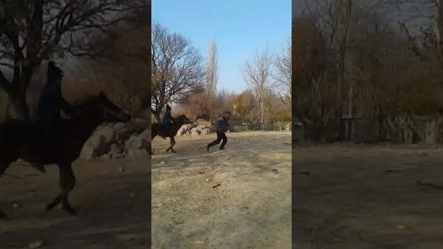 Кулын уйрету
