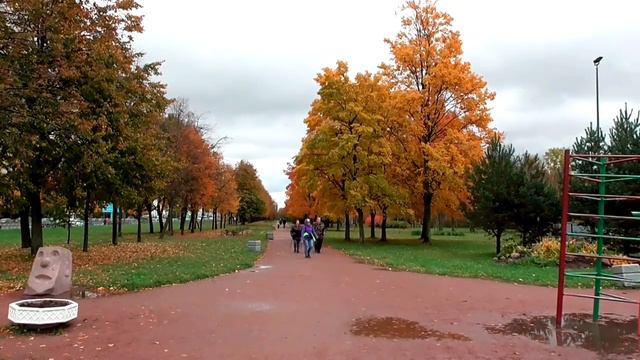Санкт-Петербург_ Муринский парк _ Времена года _2017-2018 (2)