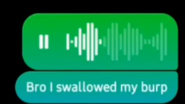 bro I swallowed my burp