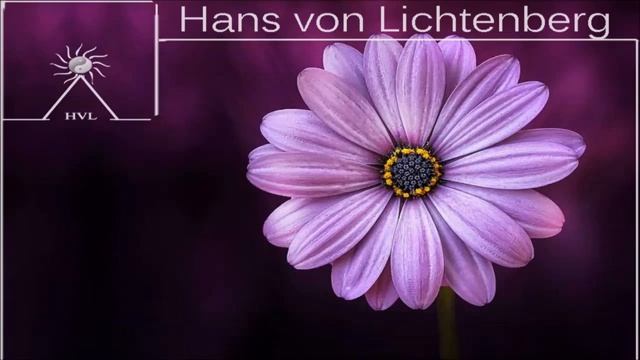 THE LOVER - Flowing Instrumental (Joy To Read, Study, Meditate, Focus, Learn, Sleep, Dream)