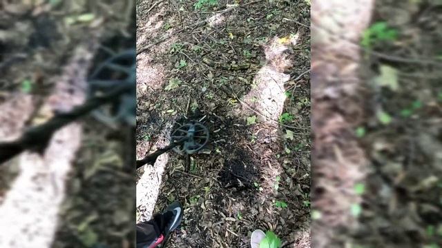 На прогулке с лабрадором, проверяем сигналы металлоискателя, в поисках клада