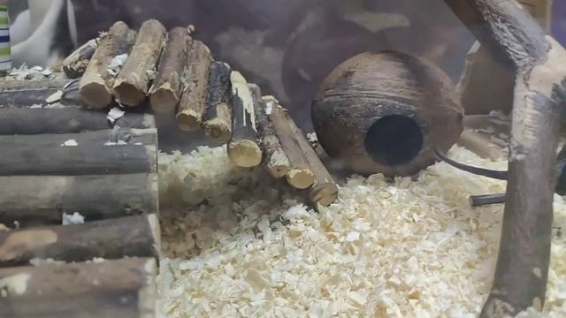 VID_20231029172941.mp4