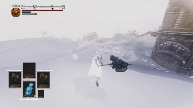 Silver Knight Ledo vs. Havel The Rock - Dark Souls™ Skyrim