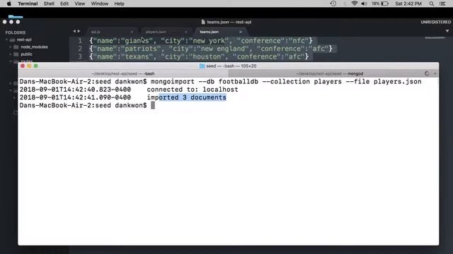 REST API Tutorial - Mongo DB Connection
