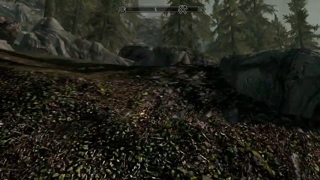 The Elder Scrolls V Skyrim : J'en ai les larmes au yeux .. [Medium Quality]