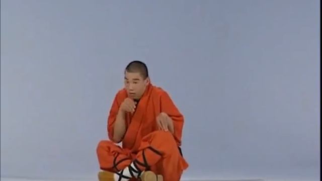 Стиль обезьяны (хоу цуань) 1