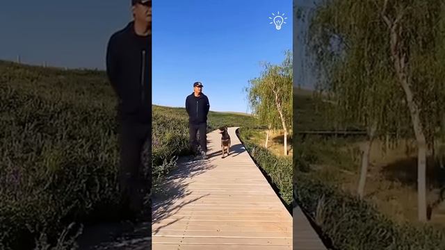 сохрани себе