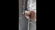 Кухонный двор - реальный отзыв покупателя.