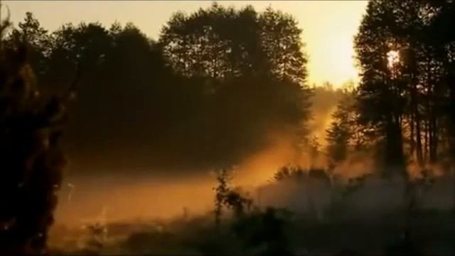 «На добраніч, Моє Сонце» — Марк Тайтлер