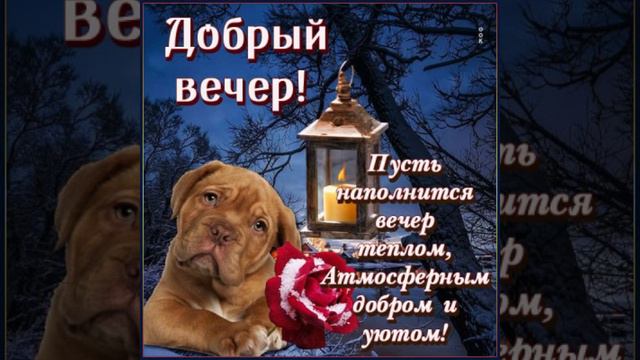 Добрый вечер 🌼🌼🌼 Желаю ярких мгновений и Приятных сюрпризов 🍓🍓🍓