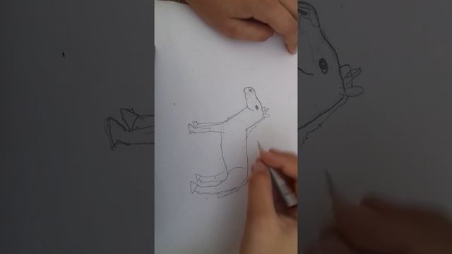 Kihalt állatok Rajzolása--Kvagga (Equus Quagga Quagga)