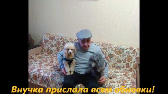 Молли и Авва осень 2018- весна 2019