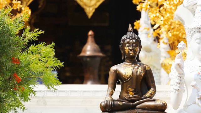 [Meditation - 528Hz - Thank You/Sun Frequency] - Relaxing Zen Music 24/7, Stress Relief, Sleep