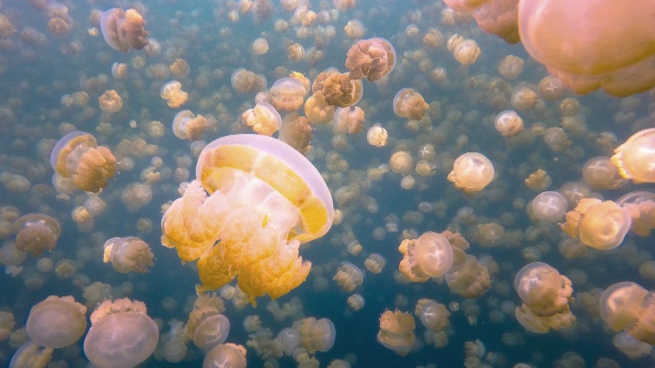 10 УДИВИТЕЛЬНЫХ МЕСТ И ЯВЛЕНИЙ, созданных самой природой