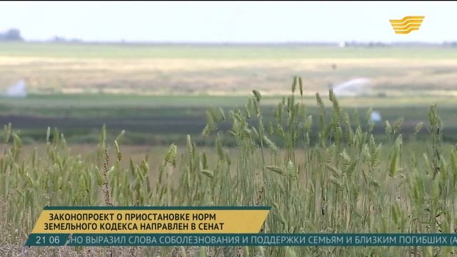 Законопроект о приостановке норм Земельного кодекса направлен в Сенат