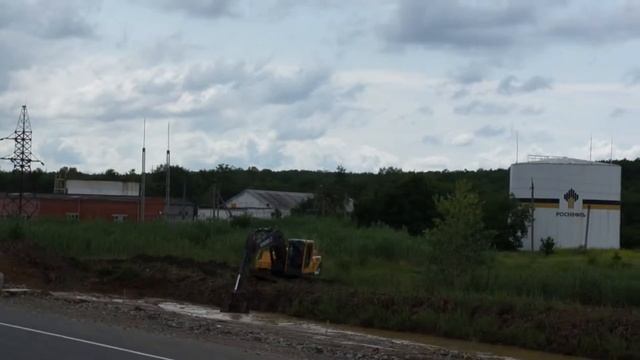 сушит болот по русский.