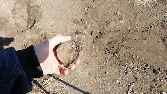 Огородный коп с Minelab Go-Find(Гоша) и лопатой Fiskars