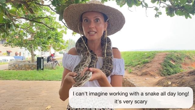 Snakes & Dogs || Змеи и собаки || Sri Lanka || Шри-Ланка