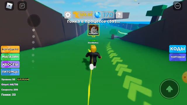 Играю в симулятор скорости