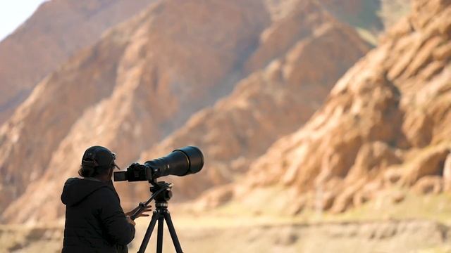 Wildlife photography with the new Nikon ZF Camera in the High Altitudes of Ladakh