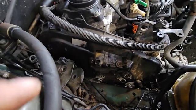 Princess the green Citroen C5 Gets a new timing belt
