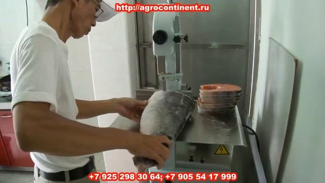 Ленточная пила для рыбы у Агроконтинент