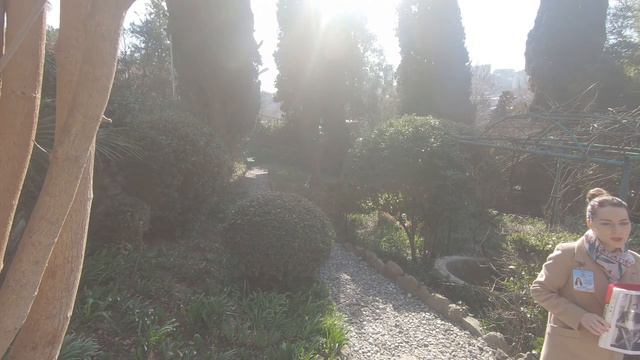 Ялта2020