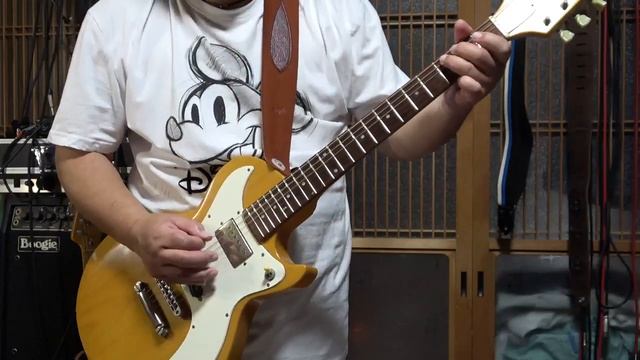 Edwards E ML 90LTMarauder  PEAVEY 6505 MH Mini Head Japan Edition  003