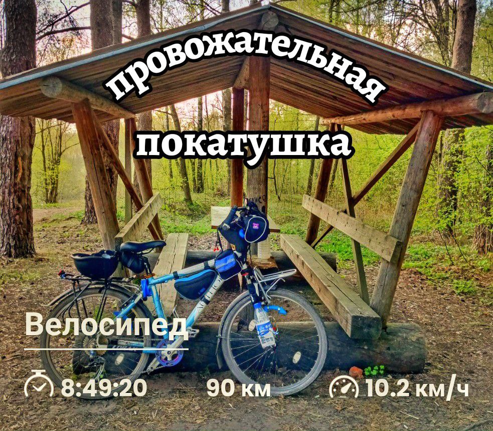 Провожаю кошку в деревню на велосипеде! Вышло 90 км прокатиться.