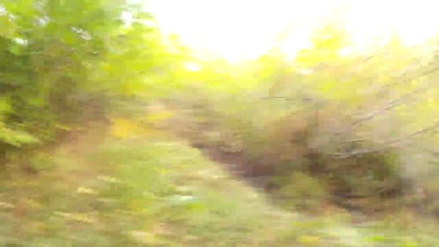 Небольшой коп в сумерках!