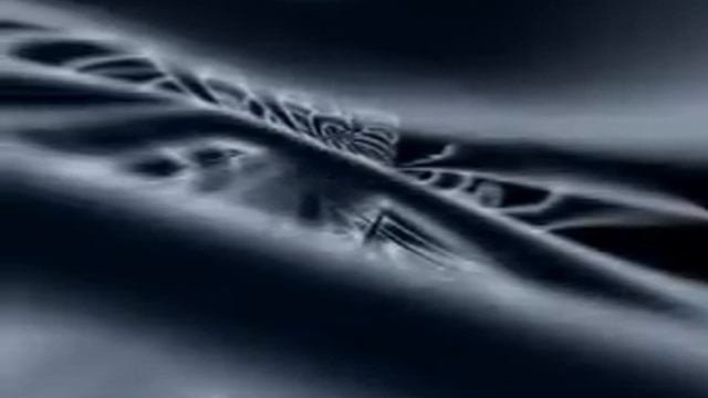 Макс Фадеев -Триумф