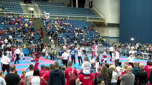 Кубок Мира Кикбоксинг Команда Мужчины 74+