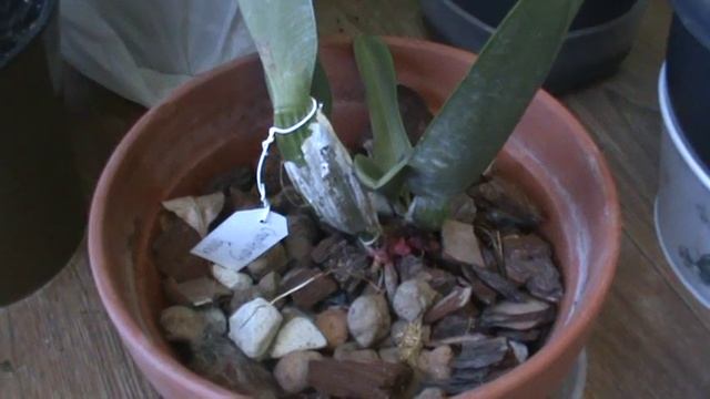 Мои покупки у Регины! Поболтушки!