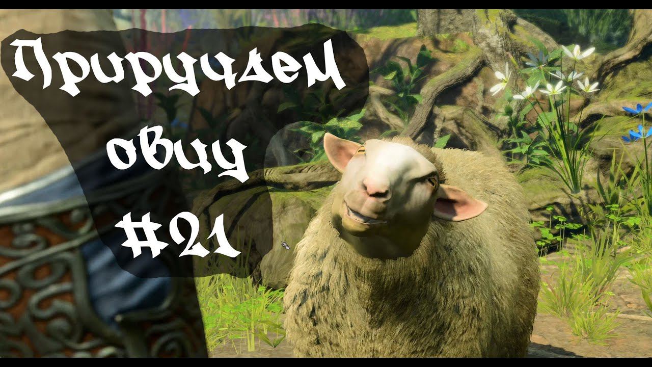 Приручаем овцу • Baldur's Gate 3  #21