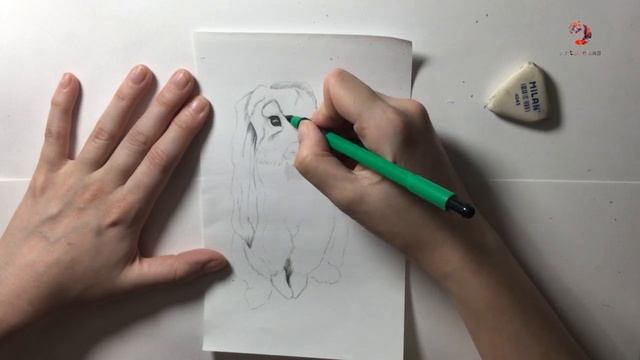 Рисуем зайчика карандашом!?