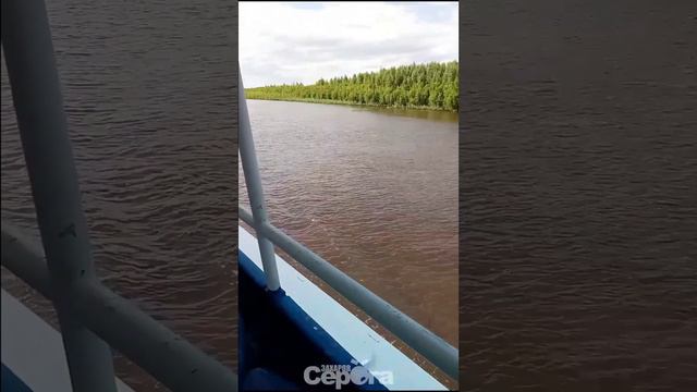 Езда На Москве, 2024 #Shorts #видео #вертикальноевидео #монтаж #день #поездка #теплоход #путешествие