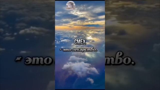 lv_0_20240412125310.mp4