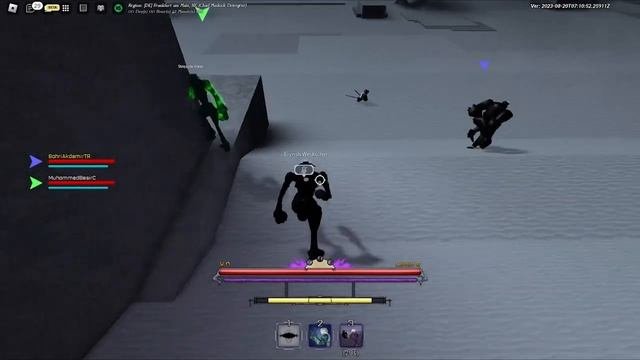 PEROXIDE HOW TO GET ARRANCAR HOLLOW PROGRESSION