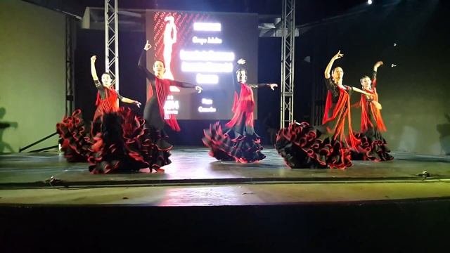 Premio Torbellino Flamenco 2014.Amorcito Gitano