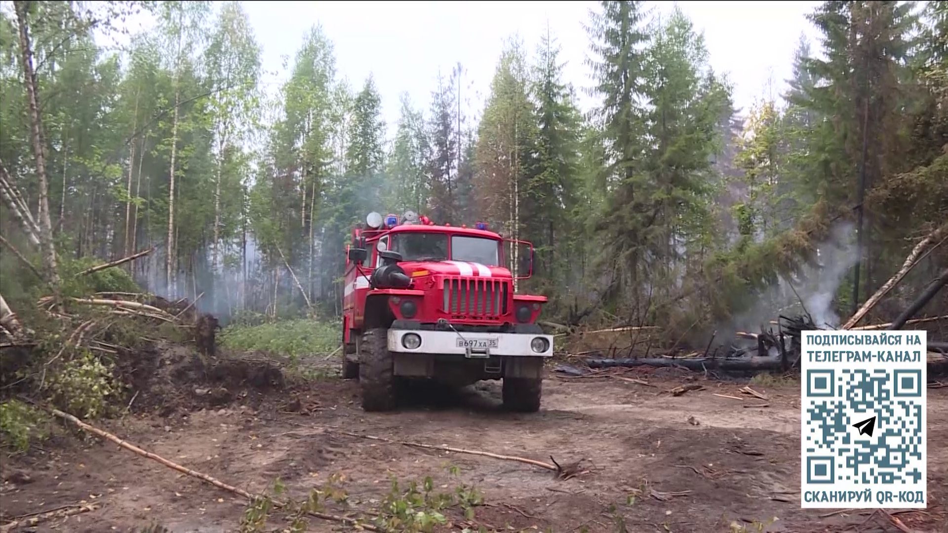 Высокий класс пожарной опасности достигнут в 9 районах и округах Вологодской области