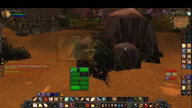 WoW Classic: Rank 13 Holy Paladin PvP-WSG#5