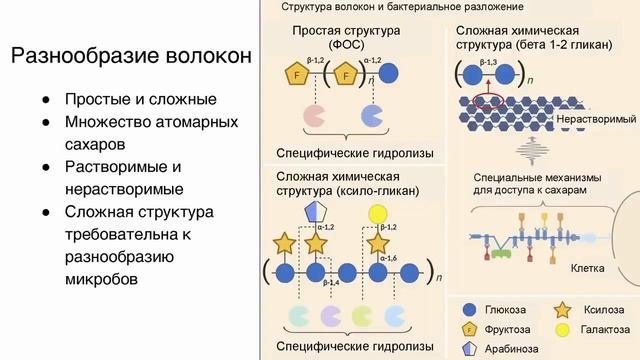 Detox Часть 2 Дм. Алексеев Токсины Лекция