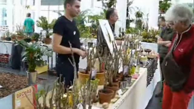 Gardenia 2008 - Association INECOBA